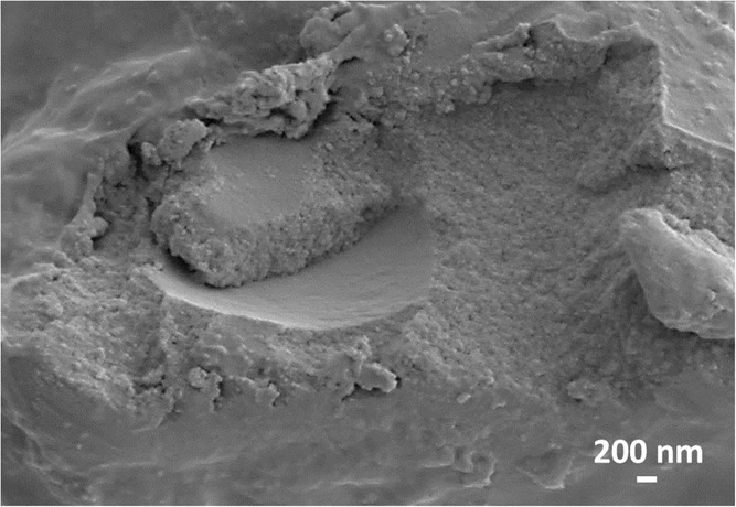 International Journal of Applied Ceramic Technology paper