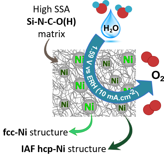Nanoscale Advances paper